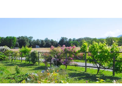 Claustra en châtaignier avec plantes grimpantes à Charpey 3