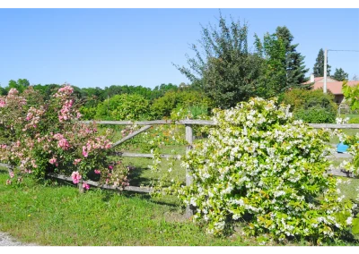Claustra en châtaignier avec plantes grimpantes à Charpey